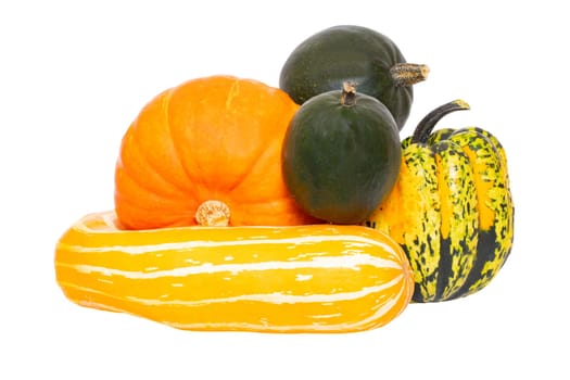 Pumpkins isolated. Autumn beginning and harvest of different kinds decorative colorful pumpkins isolated on a white background. Macro of edible gourds.