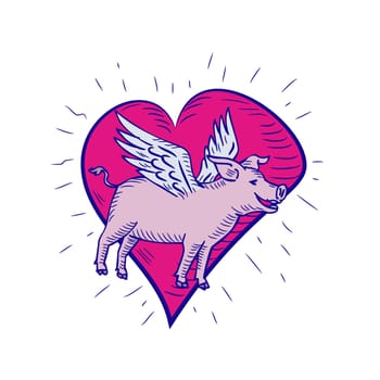 Doodle art illustration of a pig, hog or boar with wing flying side view set inside pink heart done in drawing sketch style on isolated white background in color.