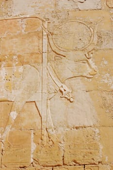 Sculpture of Hathor as a cow in Hatshepsut temple, Egypt