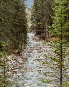 Early Winter scenery of Johnston Canyon in Banff National Park, Alberta, Canada