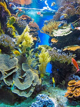 Oceanographic Museum of Monaco