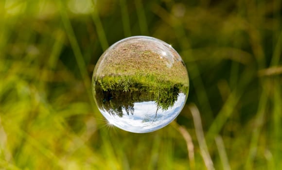 Glass ball floats between blades of grass with mirrored trees and cloudy blue sky