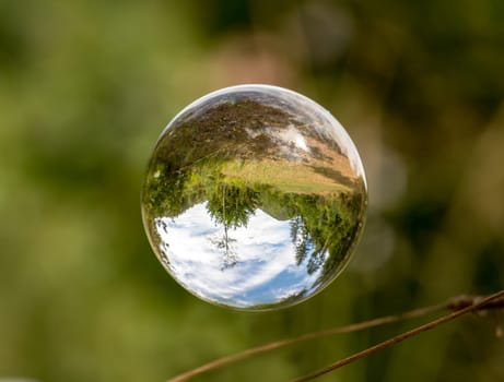 Glass ball floats between blades of grass with mirrored trees and cloudy blue sky