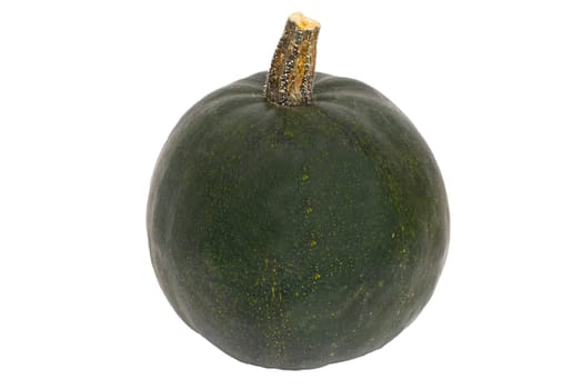 Pumpkin isolated. Close-up of a green Rondini pumpkin isolated on a white background. Healthy nutrition. Macro.