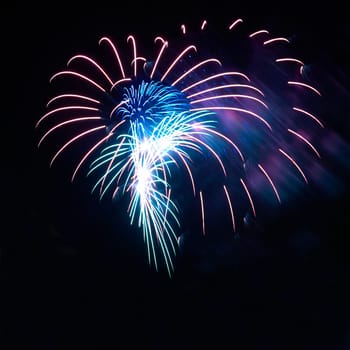 Blue and red colorful holiday fireworks on the black sky background.