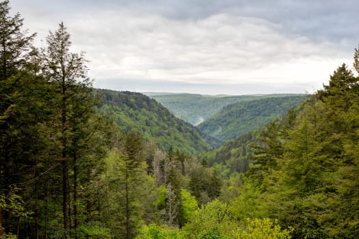 View of the mountains between which the blackwater river flows, during a cloudy day