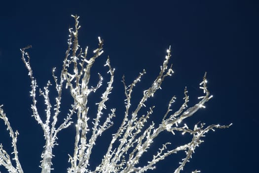 Winter tree with lights and decorations, Tromso town, Northern Norway