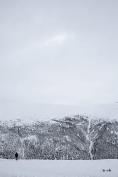 Unidentifiable person in the snow among the wonderful winter scenery, Norway