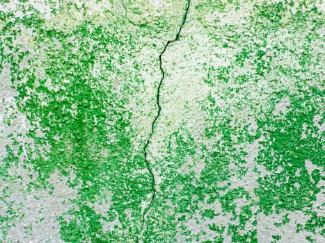 Split abstract surface cracked in the middle as green paint peeling off a concrete wall background. Old grungy, weathered painted construction structure. Cracked, dirty texture with plaster falling.