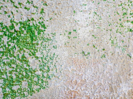 Abstract surface as green paint peeling off a concrete wall background. Old grungy, weathered painted construction structure. Cracked, dirty texture with plaster falling.