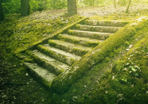 Ancient stone stair steps in the woods covered by green moss. Mysterious fairytale scene with an old stairway.