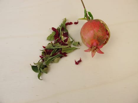 Dried pomegranate leaves, pomegranate flowers and a small pomegranate