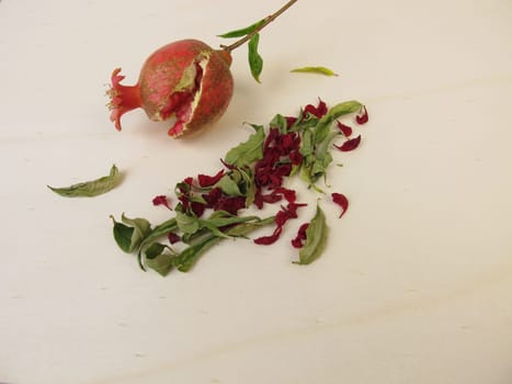 Dried pomegranate leaves, pomegranate flowers and a small pomegranate