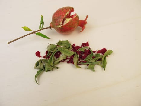 Dried pomegranate leaves, pomegranate flowers and a small pomegranate