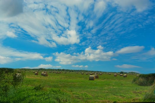 Hay bales in golden field landscape, panorama