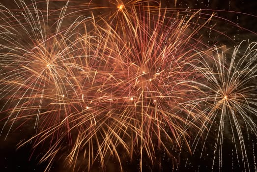 Red colorful fireworks on the black sky background