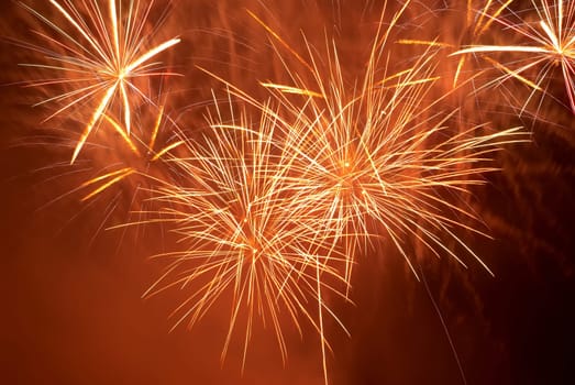 Red colorful fireworks on the black sky background