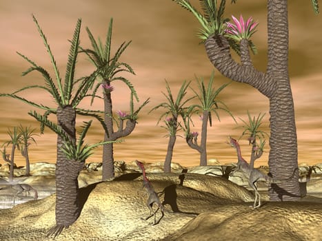 Compsognathus dinosaurs in the desert with williamsonia trees by sunset - 3D render