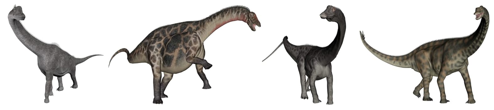 Jurassic sauropod dinosaurs
