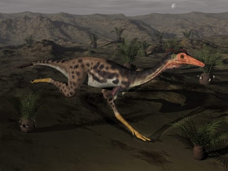 Mononykus dinosaur running by night surrounded with cycadeodia plants - 3D render
