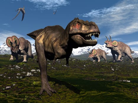 Tyrannosaurus rex attacked by three triceratops dinosaurs in the mountain - 3D render