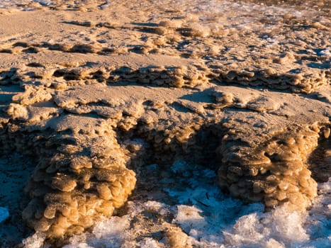 Winter Day at the Baltic sea Beach. Frozen sand