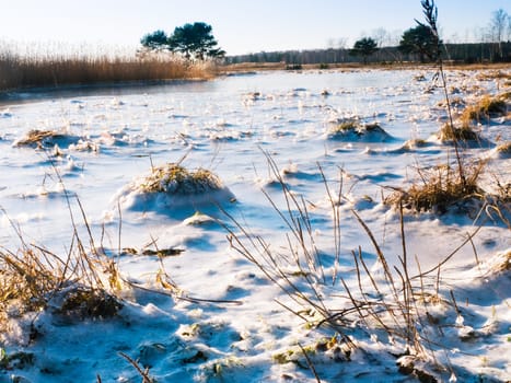 Beautiful view of winter frozen desert dunes on seashore of Baltic sea in Latvia