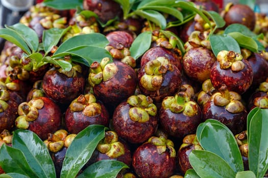 Lots of mangosteen fruit, mangosteen background, mangosteen fruit, Pattern Lots of mangosteen with green leaves