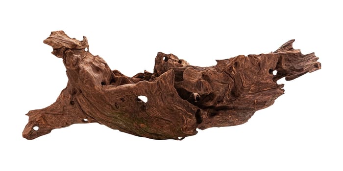 Irregular mangrove brown piece of wood, aquarium decoration isolated