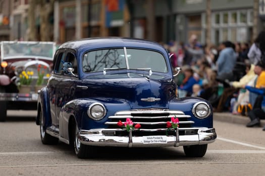 Holland, Michigan, USA - May 11, 2019: Tulip Time Parade, A Chevrolet, Fleet Master leading a group of classic cars during the parade