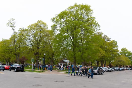 Holland, Michigan, USA - May 11, 2019: The Centennial Park, with locals and tourists, admiring the tulip flowers, during the tulip time festival