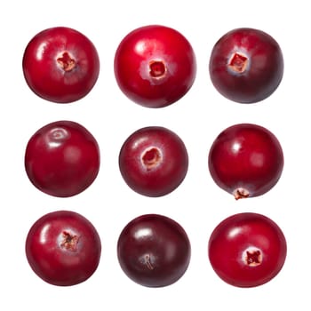 Cranberries (Vaccinium oxycoccus), isolated, top view, single berries