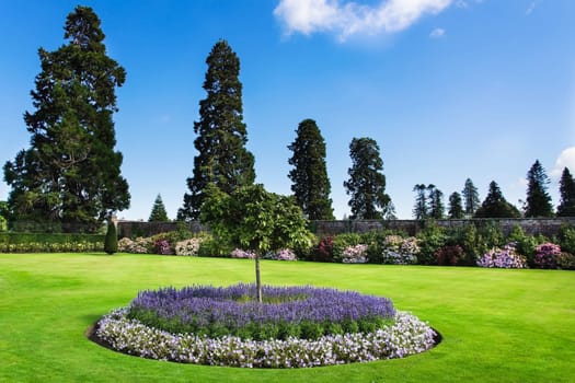 Beautiful Powerscourt garden, with rows of flowers, trimmed bushes and trees, blue sky and clouds in background, Wicklow, Ireland