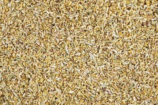 Fresh fennel pollen filling frame for food background.