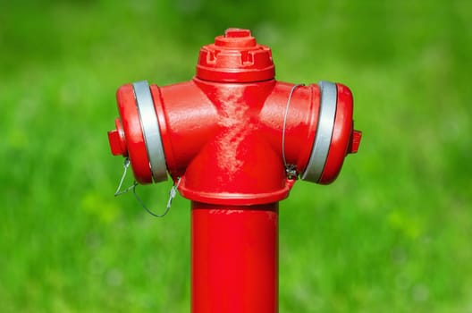 Red fire hydrant against the green background