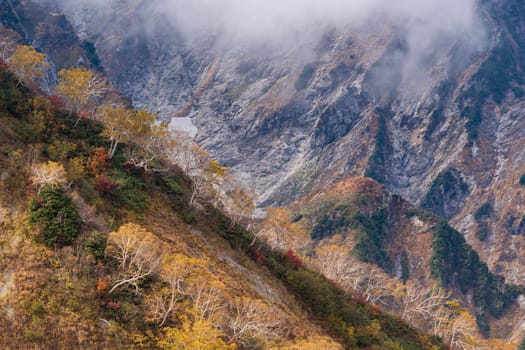 Landscape of Autumn Fall of Hakuba Valley in Nagano Chubu Japan