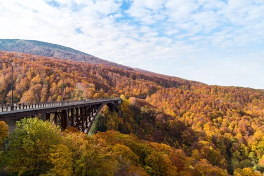 Autumn Fall Landscape of Forest and woods with Jogakura Ohashi Bridge in Aomori Tohoku Japan