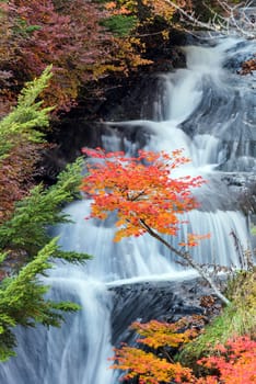Autumn fall forest at Ryuzu waterfall at Nikko Tochigi Japan