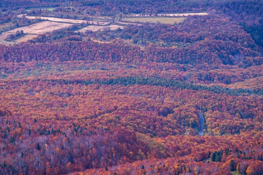 Aerial view of red leaf autumn fall season for Forest wodland From Hakkoda Mountain in Aomori Tohoku Japan