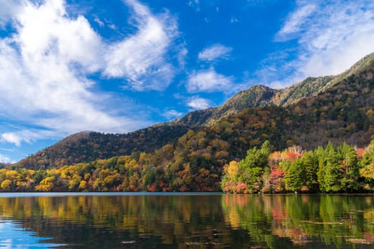 Autumn Fall Lake Forest Woodlands and Mountain at Yunoko lake at Nikko Tochigi Japan