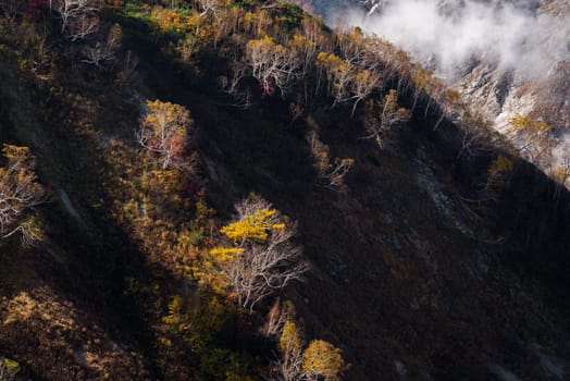 Landscape of Autumn Fall of Hakuba Valley in Nagano Chubu Japan