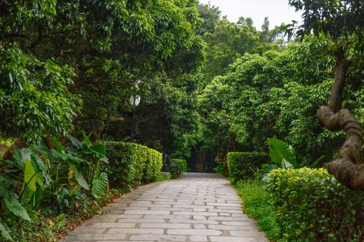 Stone walkway in a city park of tropical trees, Shenzhen, China