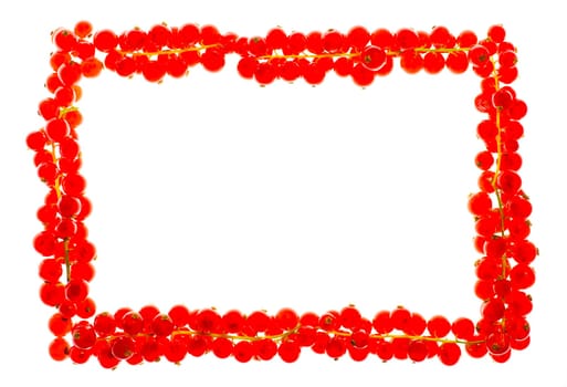 Bunches of shining red currant berries as a rectangular frame. Good for compot jar stickers.