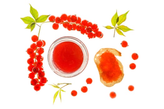 Red currant jelly with berries and jelly toast backlit on a lghtbox.