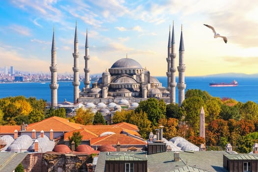 The Blue Mosque of Istanbul, beautiful view.