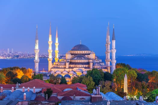 The Blue Mosque or Sultan Ahmet Mosque evening view, Istanbul, Turkey.