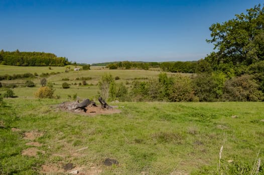 View of a hill in a meadow of the gaume in Meix in front of Virton near Virton in Belgium