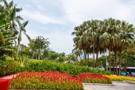 Scenic corner of the park in the center of the metropolis, Shenzhen, China, Asia