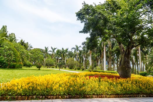 Scenic corner of the park in the center of the metropolis, Shenzhen, China, Asia