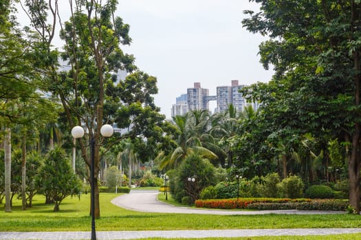 Scenic corner of the park in the center of the metropolis, Shenzhen, China, Asia
